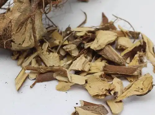 看完这篇介绍你就懂了!带你认识七指毛桃的作用和功效!