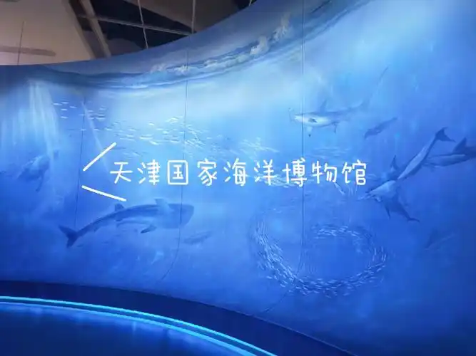 打卡天津国家海洋博物馆&网红图书馆