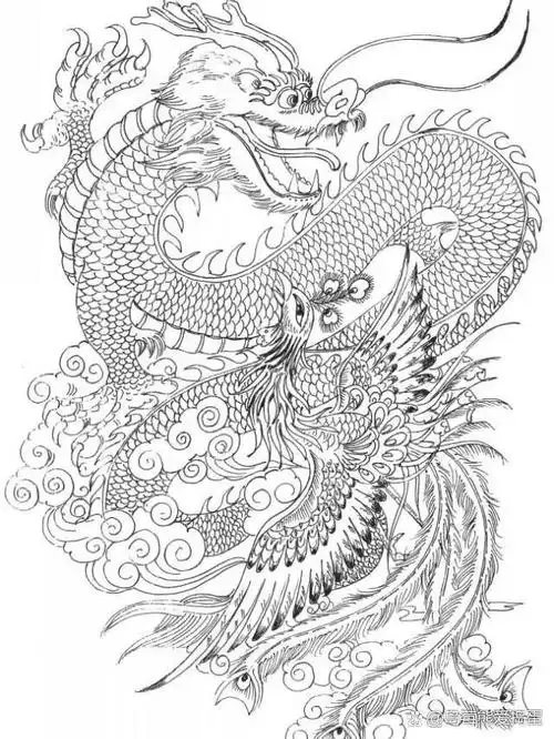 素材 | 一组龙凤白描图谱24图 代表吉祥幸福 素材 | 一组龙凤白描图谱
