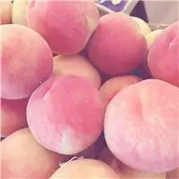 现在是吃桃子的季节水果桃子头像可爱