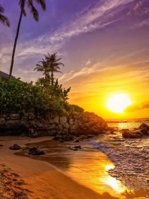 我喜欢你,从一而终,认真且怂.#治愈馆 #心情文案 #治愈系风景