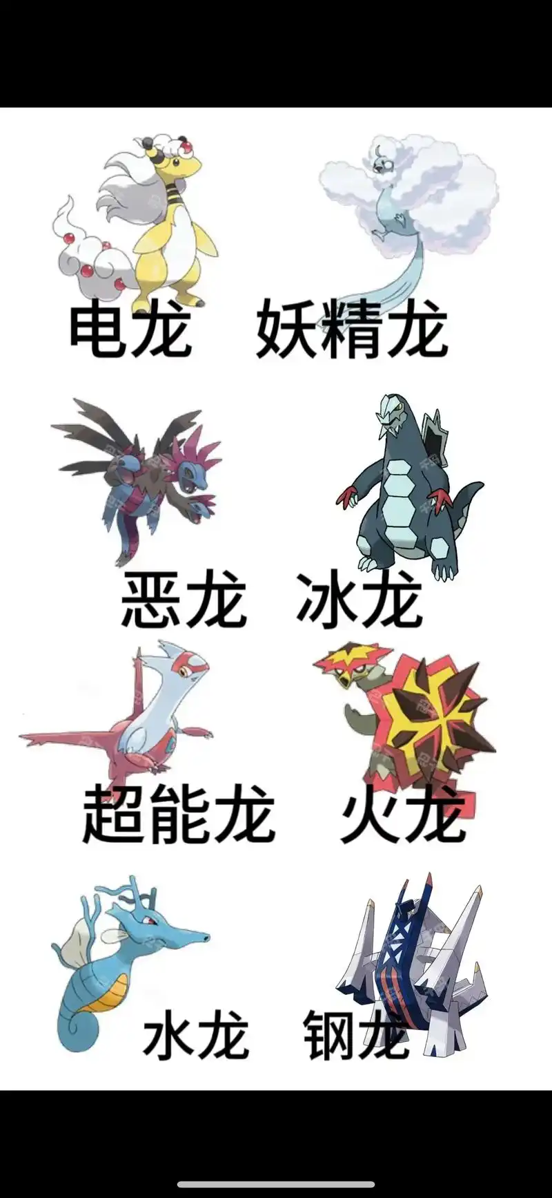 关于龙属性宝可梦的第二属性