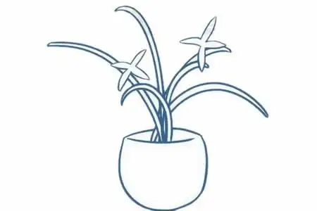 兰花简笔画的画法步骤教程及图片大全