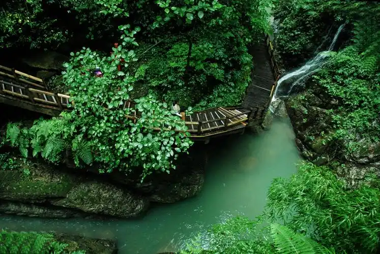 重庆黑山谷风光