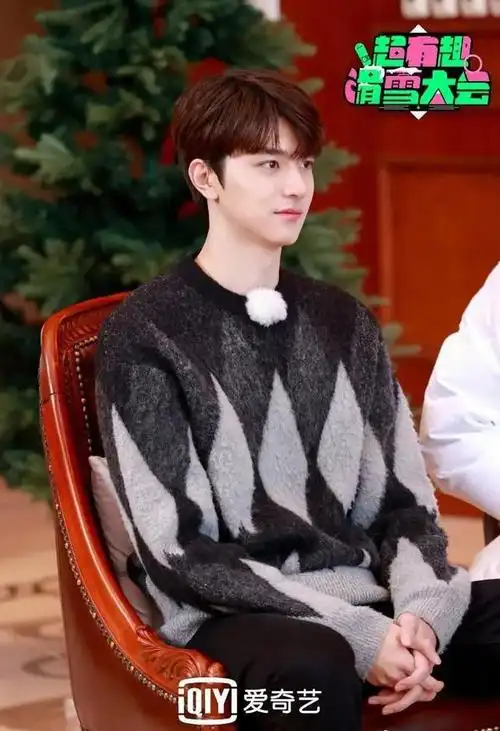 2022年男明星流行发型(男明星发型图鉴)(7)