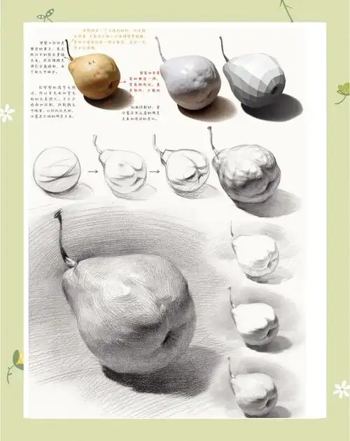 素描梨的详细步骤和技巧讲解