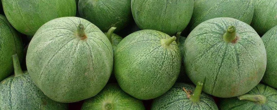 绿色带条纹的瓜叫什么瓜