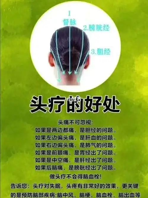 侧面少阳三焦和胆经后侧为太阳膀胱和小肠经再加底部一条督脉直贯头顶