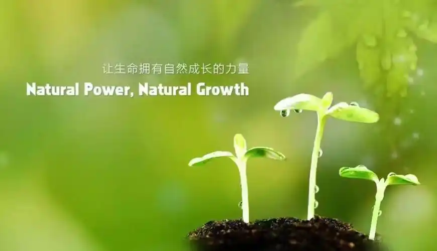 你的耐心,将是孩子人生路上的基石