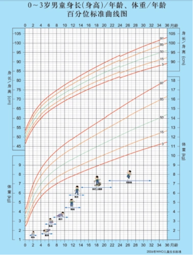 女童生长发育监测图