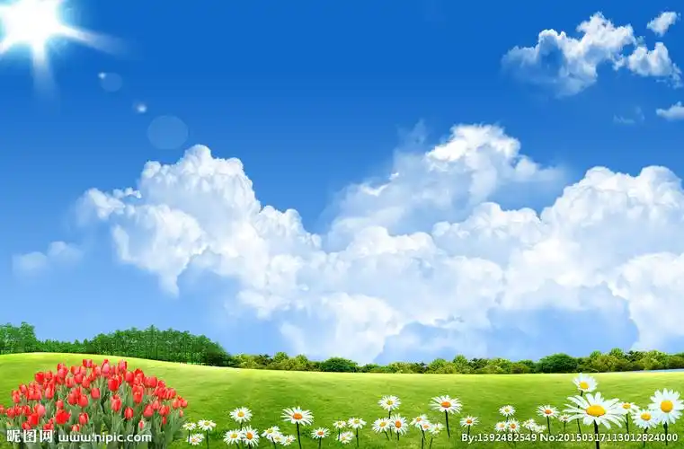 白云蓝天花图片