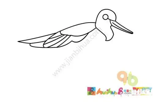 小鹬鸟怎么画简笔画