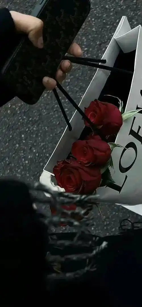 壁纸| 676767超好看的文艺ins风锁屏壁纸