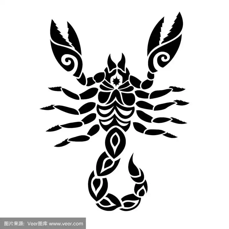 蝎子,黑白图片,绘画作品,几何形状,肖像