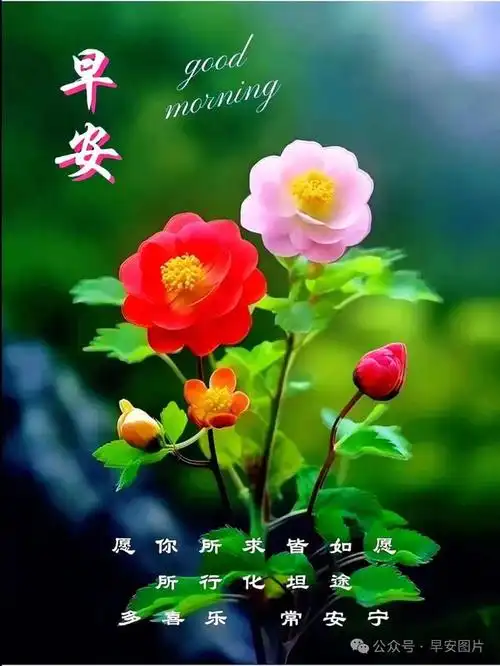 8月14日末伏早安漂亮图片祝福语-末伏至,美好的祝福赠予你:愿"伏"幸福