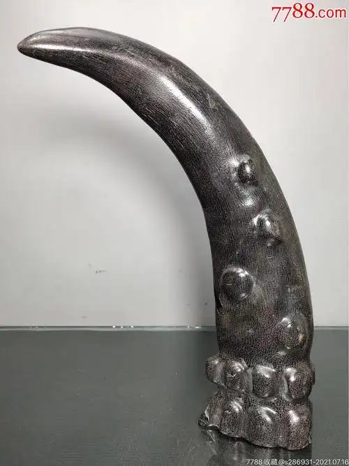 旧藏老牛角尖镇宅辟邪保平安摆件高27厘米长8厘米宽4厘米,重540克