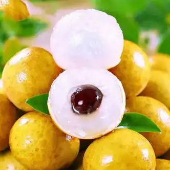 现摘现发泰国新鲜龙眼桂圆新鲜当季孕妇水果小果135斤整箱 [泰国进口]