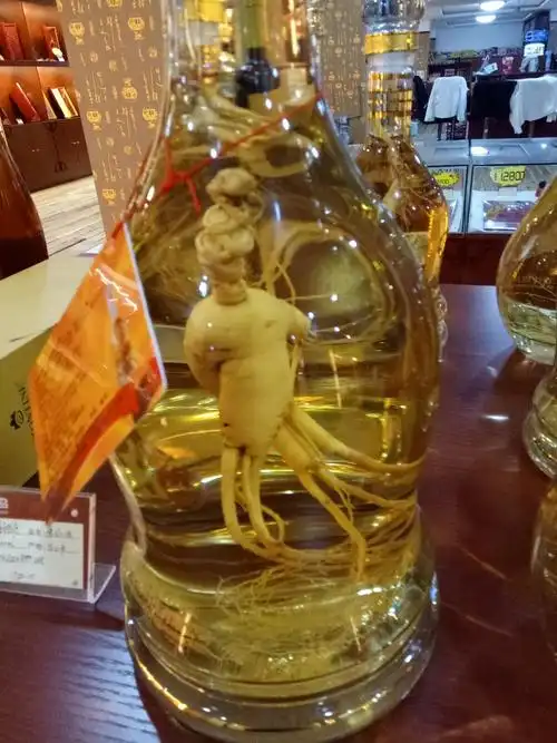 这个酒罐中泡的人参真长得像人形.