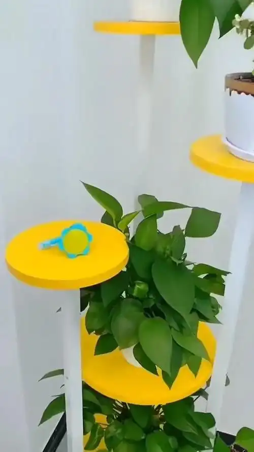 养花花洒喷头,矿泉水瓶都可以做喷壶