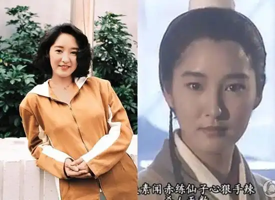 雪梨年轻时外型亮丽.(图/翻摄自网路)