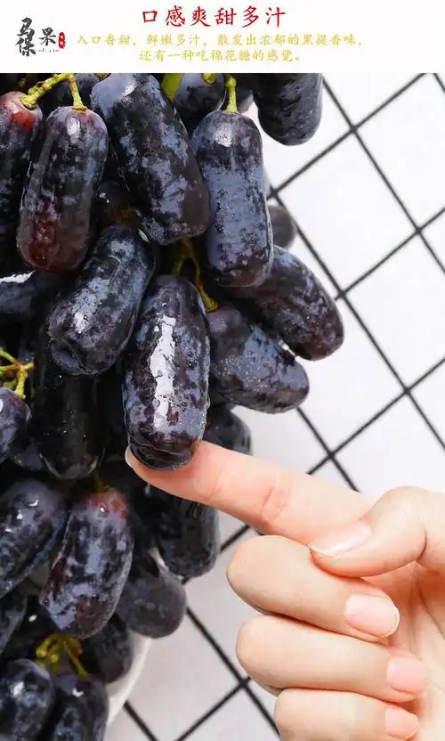 澳洲黑提金手指葡萄无籽黑加仑新鲜水果2斤