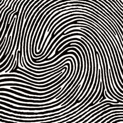 幼儿多元智能测评_十堰市智能测评_格致测评系统