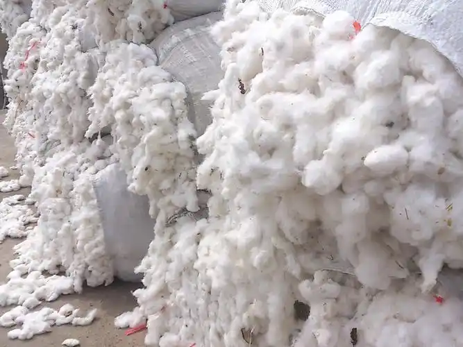 【卖】出售4级籽棉!