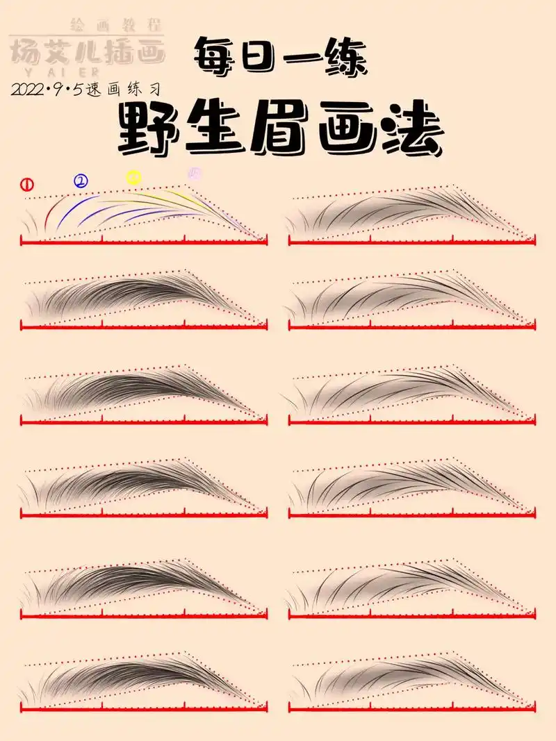 图文伙伴计划 #零基础学画画 #教你画眉毛 #画画 #绘画 - 抖音