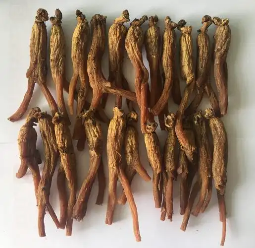 我们的红参是无糖的  吃起来苦味比较很重 几乎无甜味  而市面上的