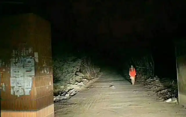 开夜车为啥要"走灰不走白,见黑停下来"?老司机:这是血泪教训