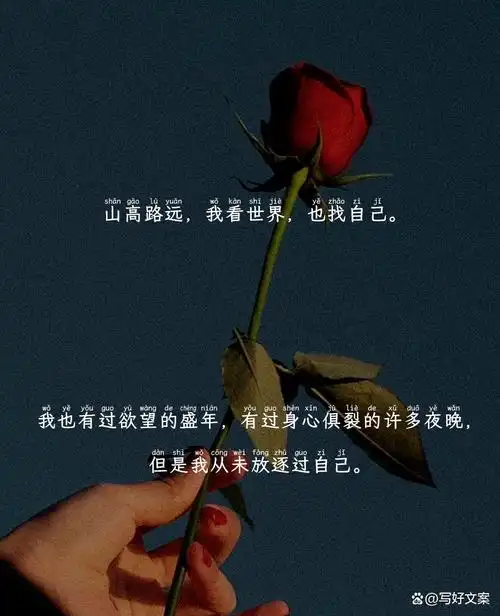 值得置顶的微信朋友圈文案玫瑰起笔晕开我们琳琅的诗句