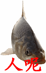 人呢找人来人呀来呀有人吗gif动图_动态图_表情包下载_soogif