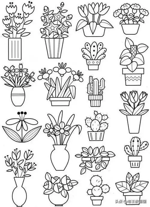 植物怎么画植物简笔画