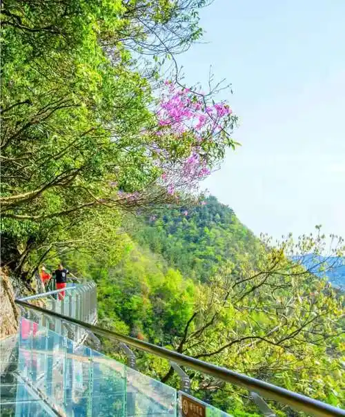 宁波好玩的地方(宁波旅游必去的免费景点大全)-临渡百科