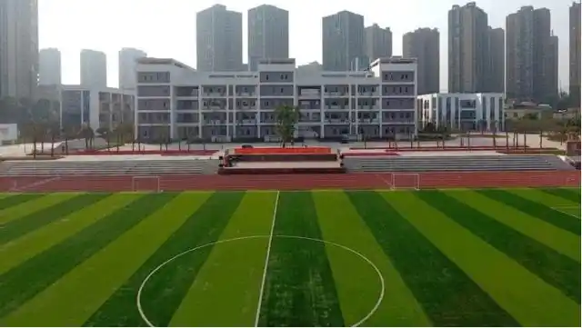 每日高新一校——重庆市大学城第一中学(二)