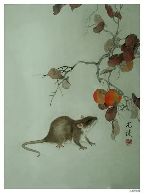 李尤俊 工笔动物画——老鼠
