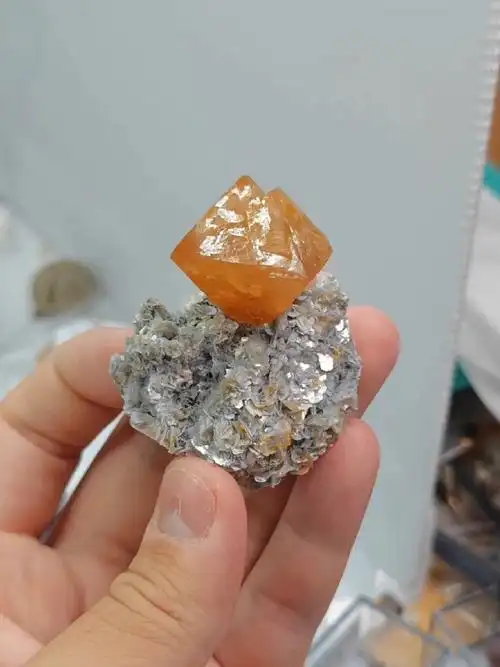 雪宝顶白钨矿 超强标本性 矿物晶体