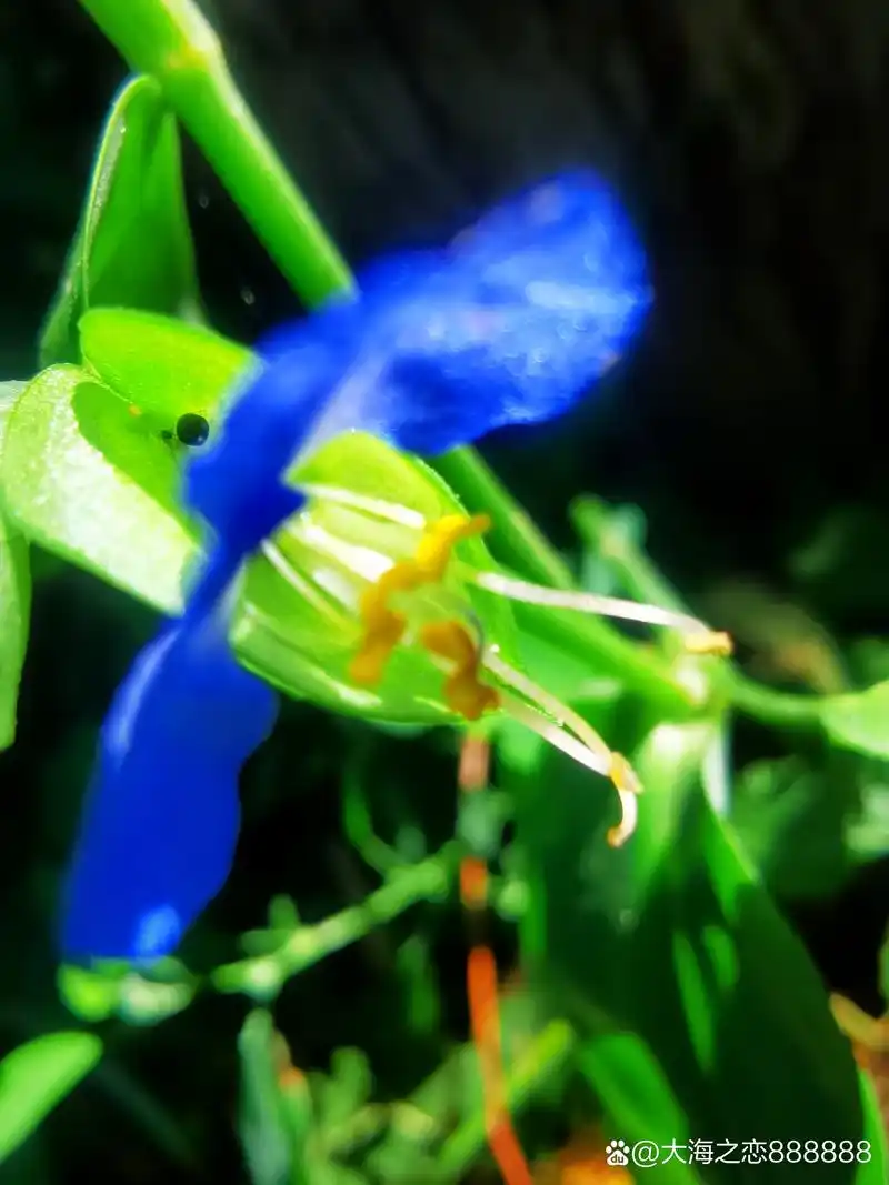 华为忍辱负重,突出重围,轻舟已过万重山!支持华为!遥遥领先!