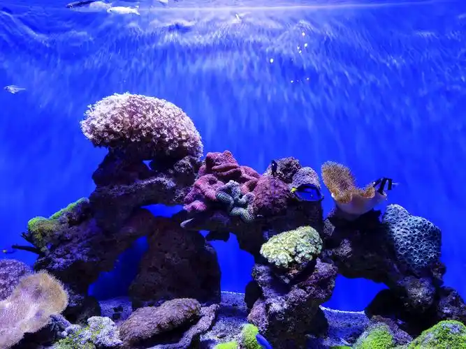 北海游记(2)--海底世界2020.11.