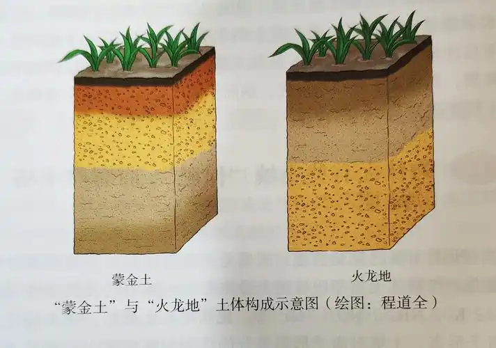 为什么有些土壤"保肥",而有些土壤"漏肥"?