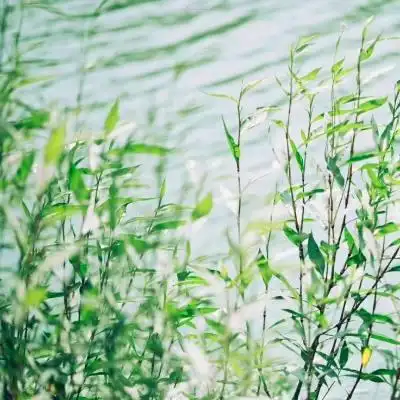 唯美风景头像图片大全高清