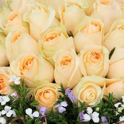 情有独钟33朵香槟玫瑰外围相思梅点缀送恋人鲜花