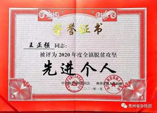 贵州省杂技团驻村干部王正强获脱贫攻坚先进个人奖