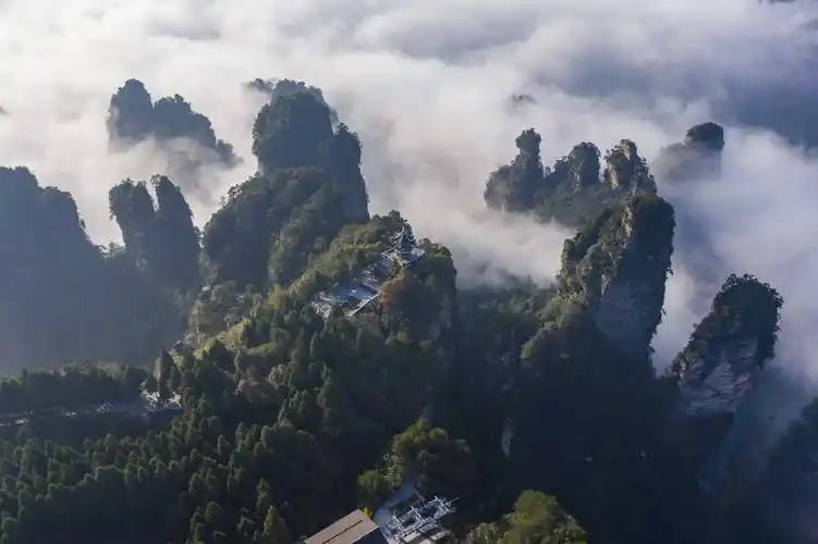 世界地质公园张家界武陵源风景区云海汹涌,黄石寨秋日美景绚丽无比