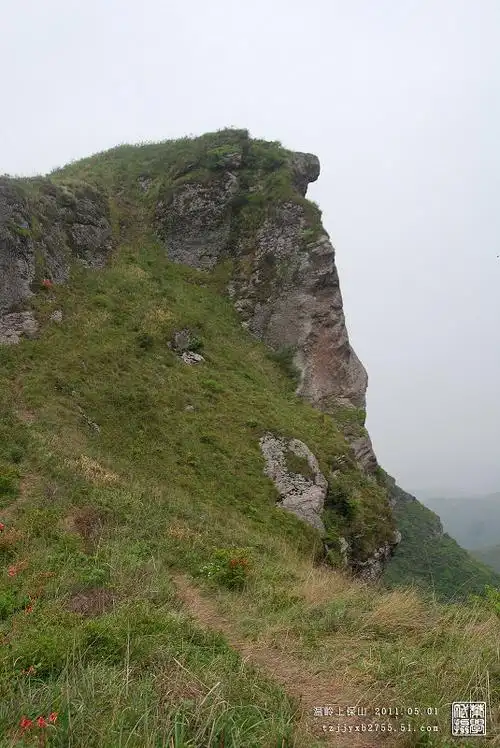 温岭上保山 杜鹃花盛开