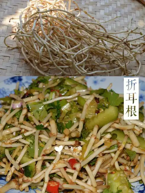 餐桌上的春天凉拌折耳根爽口解腻好吃不腥