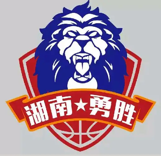 客场击败东部陆军 湖南勇胜拿下队史首胜 - 综合 - 新湖南