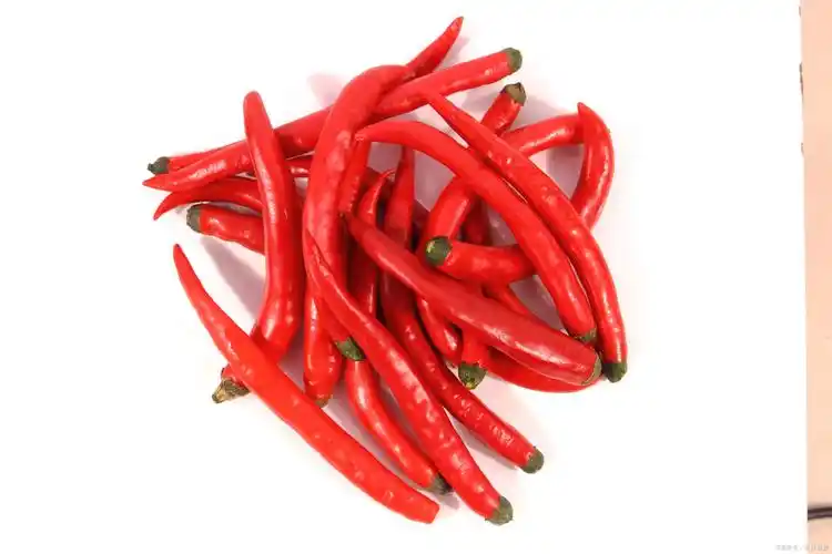 朝天椒 - 热门商品专区