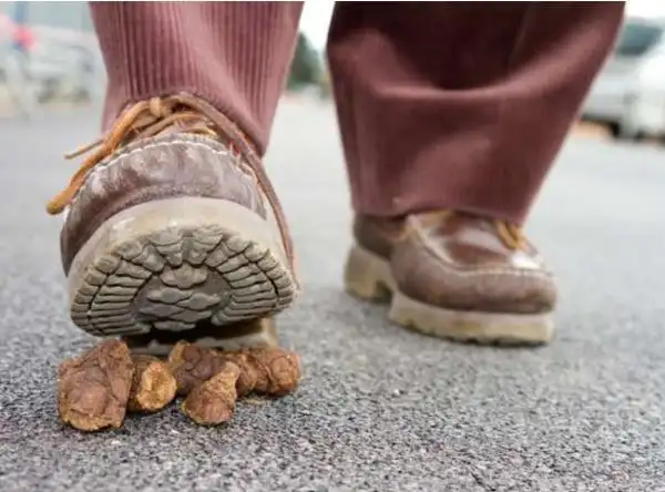 踩上狗屎了,用wd-40.