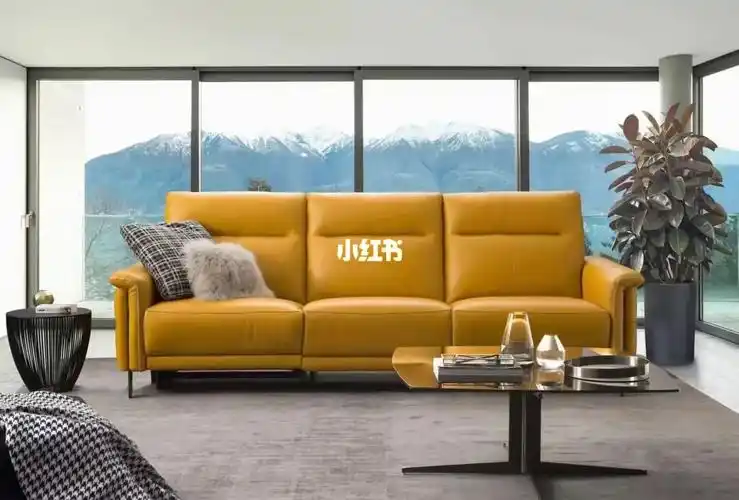 清样清样德国domicil奢侈品沙发品牌